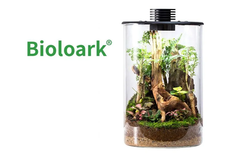 Bioloark Bio Bottle ZD150 Wabi-Kusa / Biosphäre, Zylinderform Must-Have