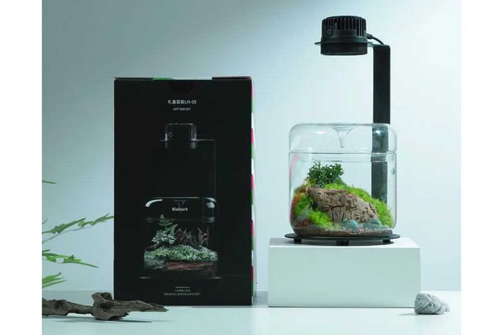 Bioloark Wabi-Kusa Set, Gift Box LH-05 Must-Have