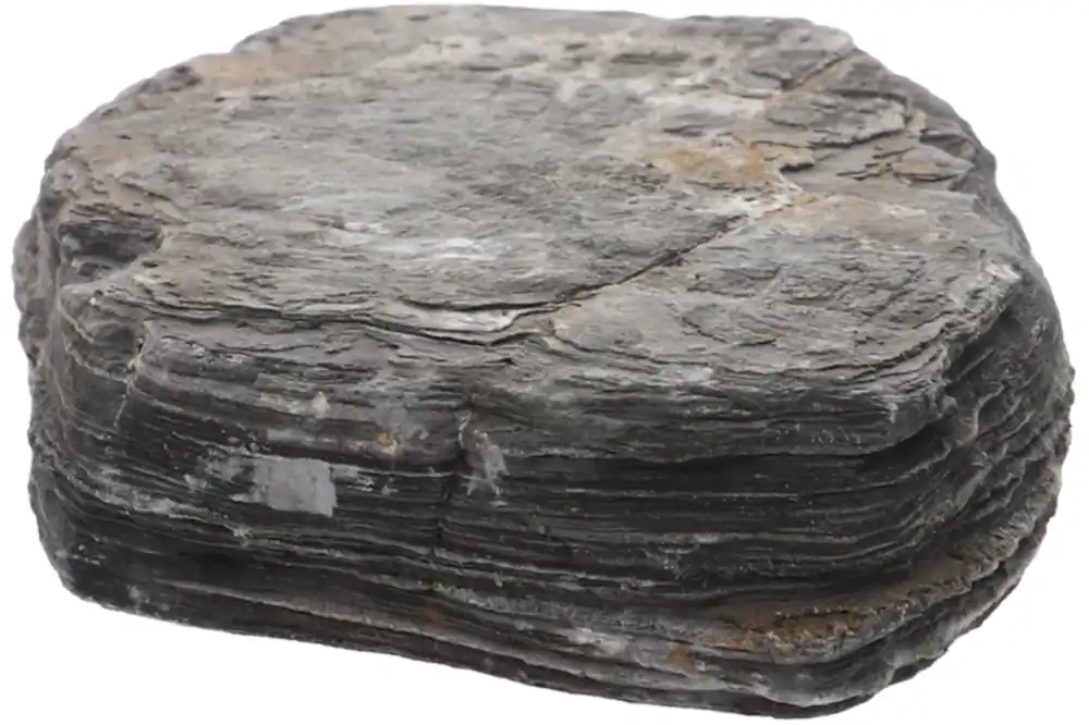 Hobby Shadow Rock M (1–2 kg) Billig