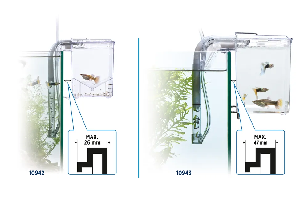 Fluval Hang on Aufzuchtbecken M (1,2 l) Sichere Zahlung