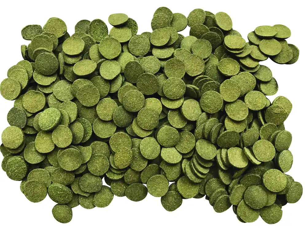 Geprüft Fluval Bug Bites Algae Wafers 100 ml