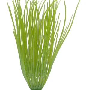 Marina Aquascaper Hairgrass 13 cm Begrenztes Angebot
