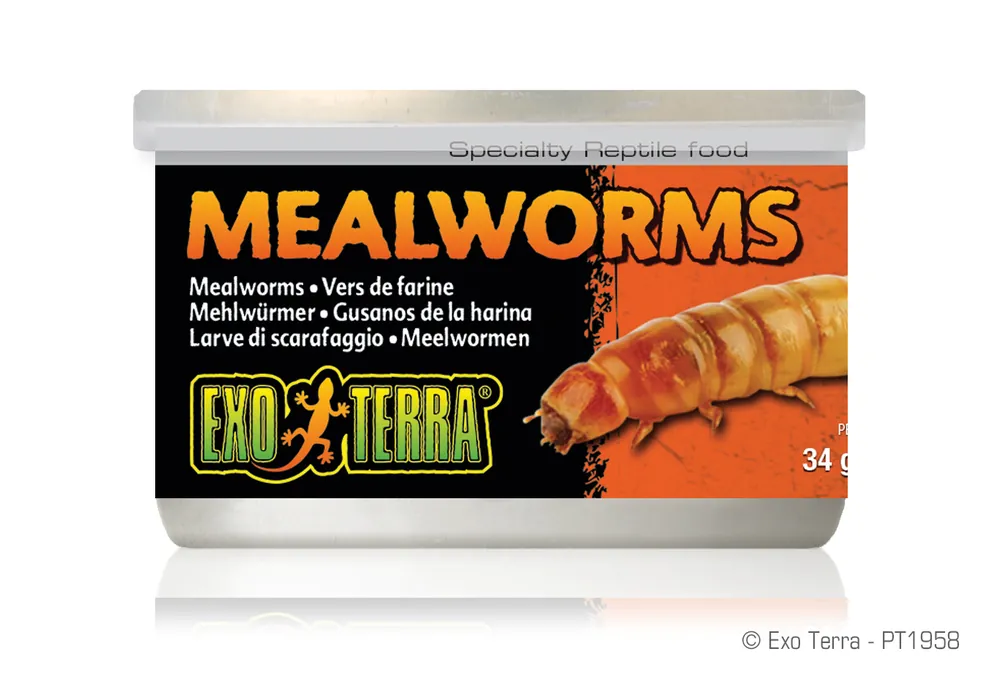 Exo Terra Mehlwürmer 34 g Jetzt Kaufen