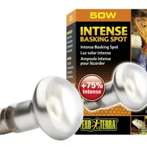 Exo Terra Intense Basking Spot R20/50W Sonderaktion