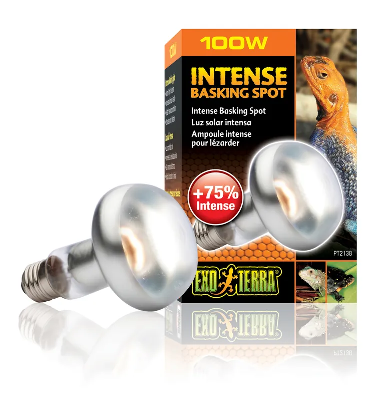 Direktkauf Exo Terra Intense Basking Spot R25/100W