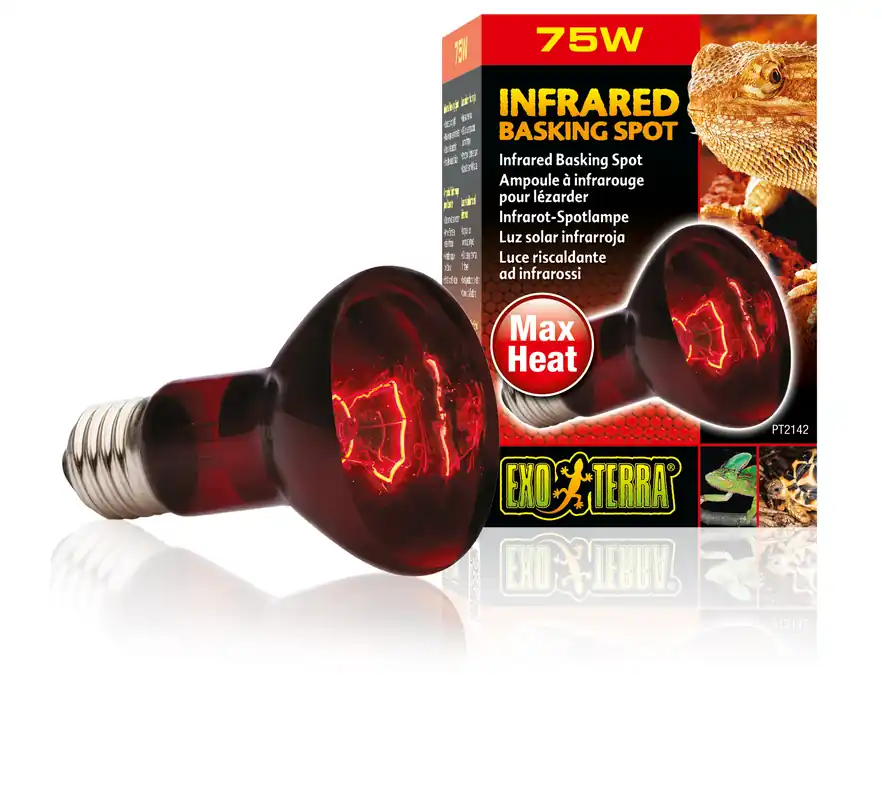 Preisreduziert Exo Terra Infrarot-Spotlampe Heat GL R20/75 W