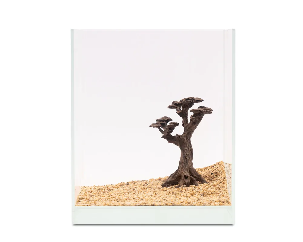 Sofort Bestellen NatureHolic Stone Bonsai Pico, 14,5 x 13 x 6 cm