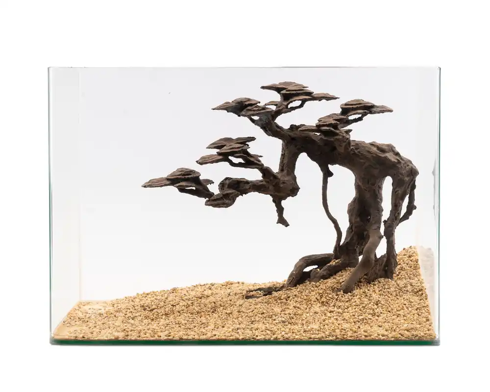 NatureHolic Stone Bonsai Senki, 40 x 35 x 15 cm Neuheit