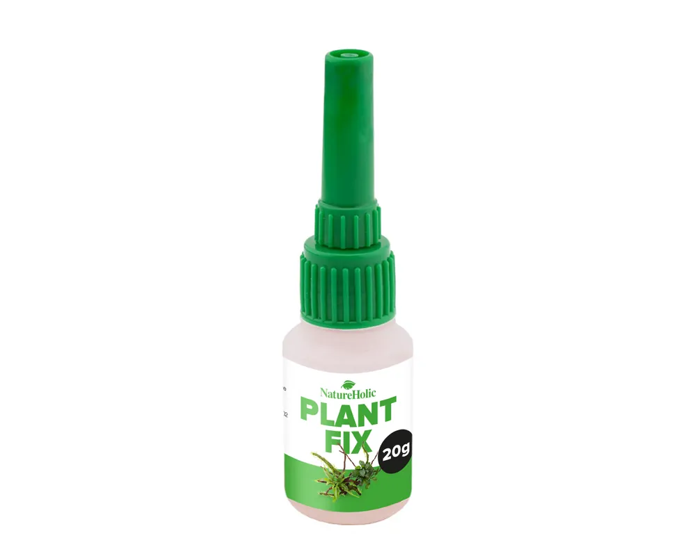 NatureHolic Plant Fix, Pflanzenkleber, 20 g Ausverkauf