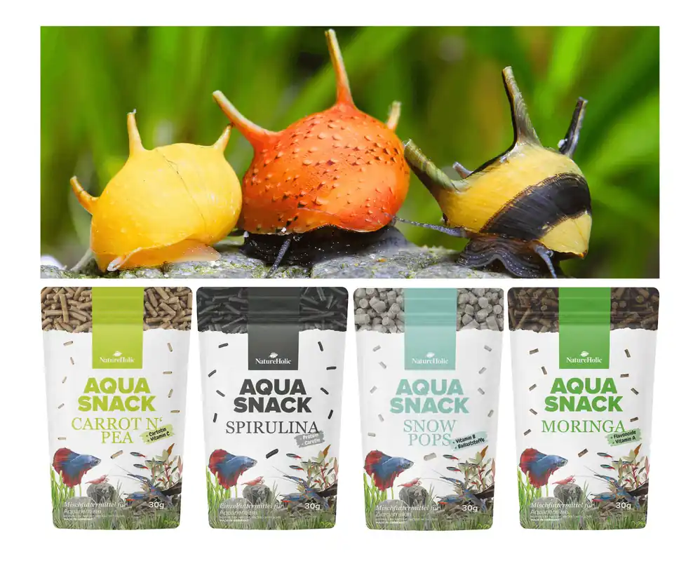 Markenprodukt NatureHolic Snackbundle für Schnecken, Carrot'n Pea, Moringa, Spirulina & Snow Pops, 4 x 30 g