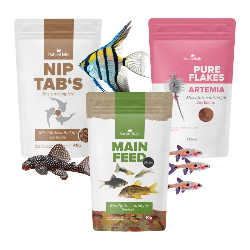 Direktkauf NatureHolic Fisch Alles-drin-Paket, Flocken, Flakes, Hafttabletten für Aquarienfische