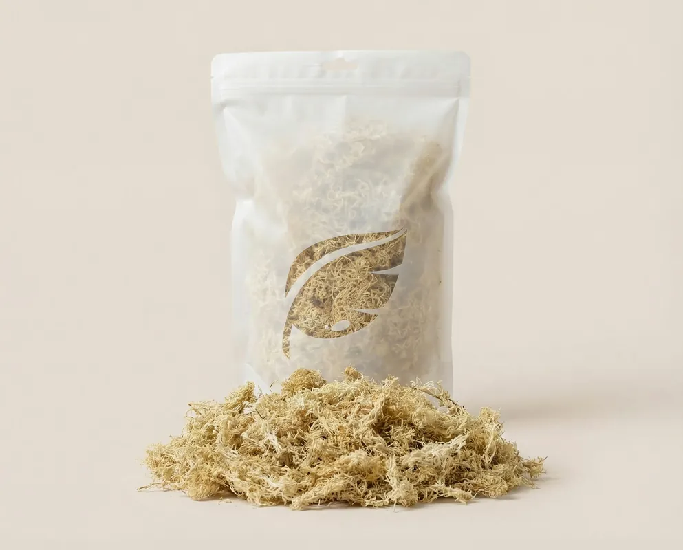 Markenware NatureHolic Sphagnum Moos, Terrarien Moos, 1 Liter