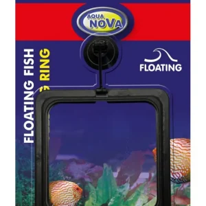 Top-Preis Aqua Nova anneau de nourriture carré