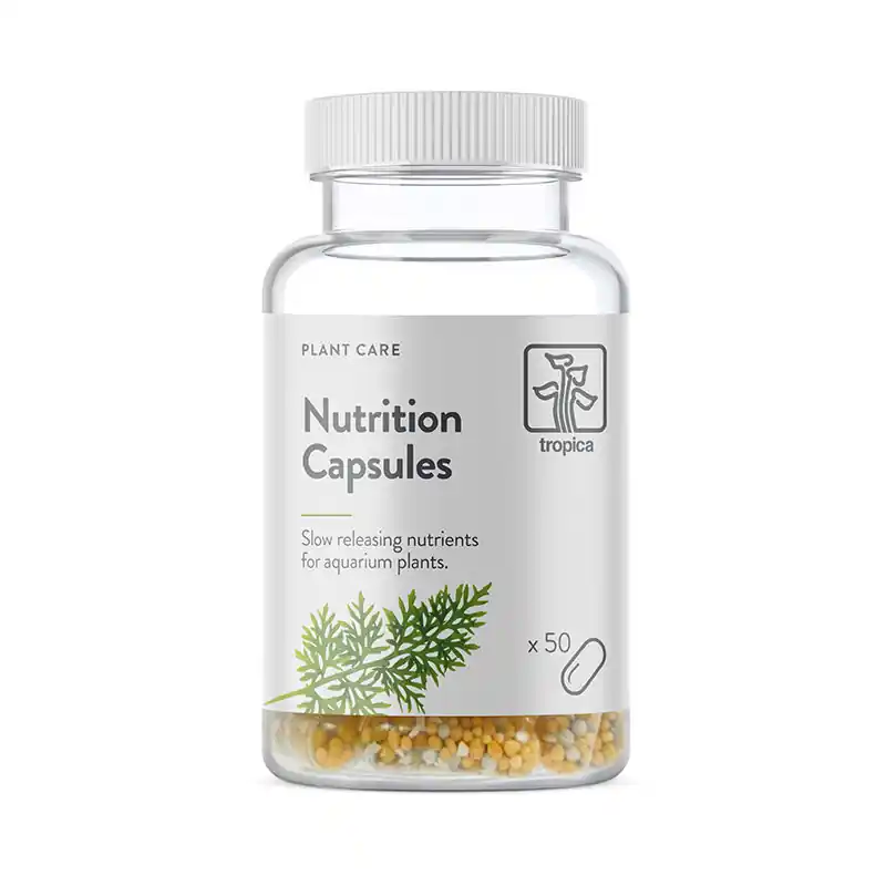 Aktuell Nutrition capsules 50 pieces