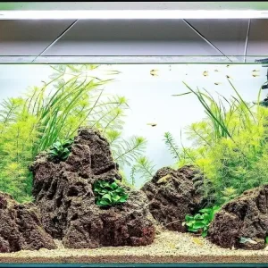 Rabatt Layout ventilato
