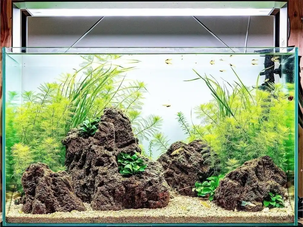 Rabatt Layout ventilato