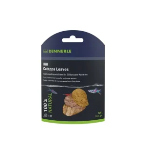 Direktkauf Nano Catappa Leaves (12 pieces)