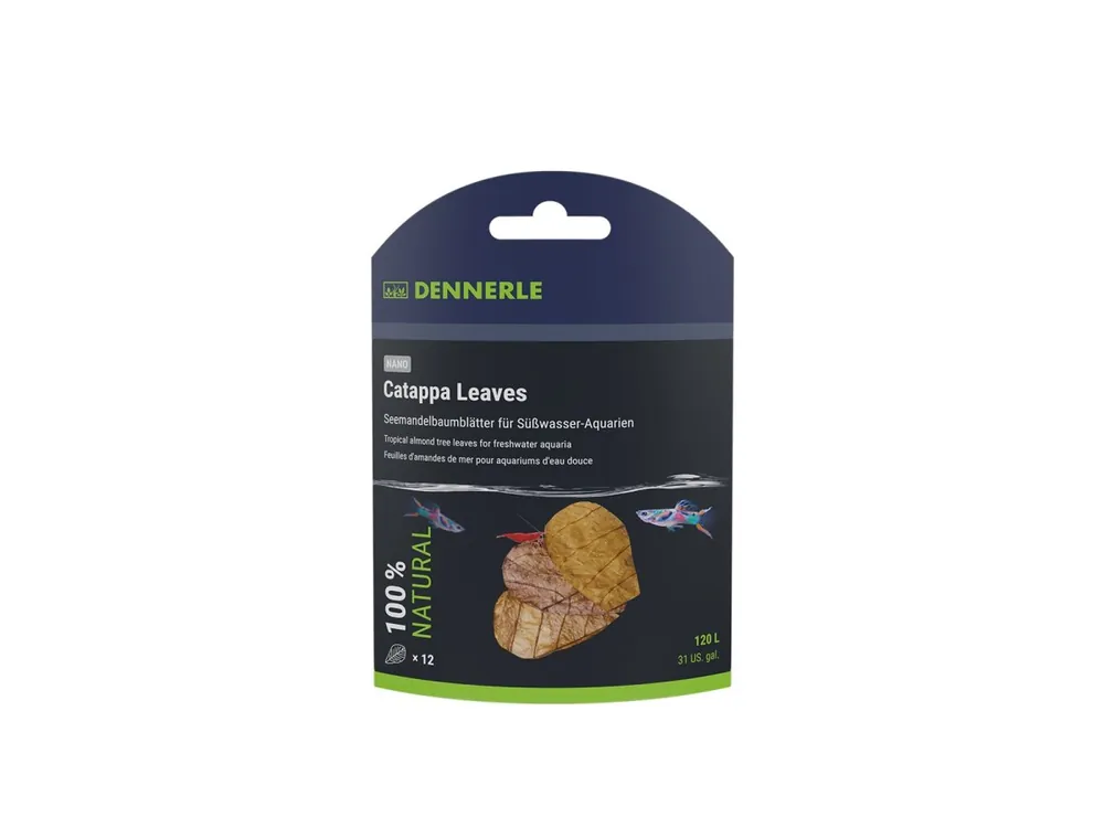 Direktkauf Nano Catappa Leaves (12 pieces)