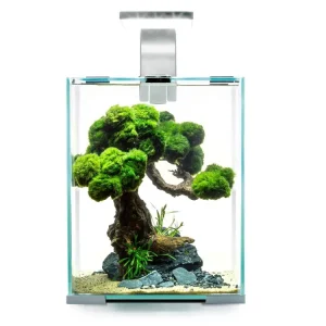 Garnelen Aquarium Set Day & Night Zertifiziert