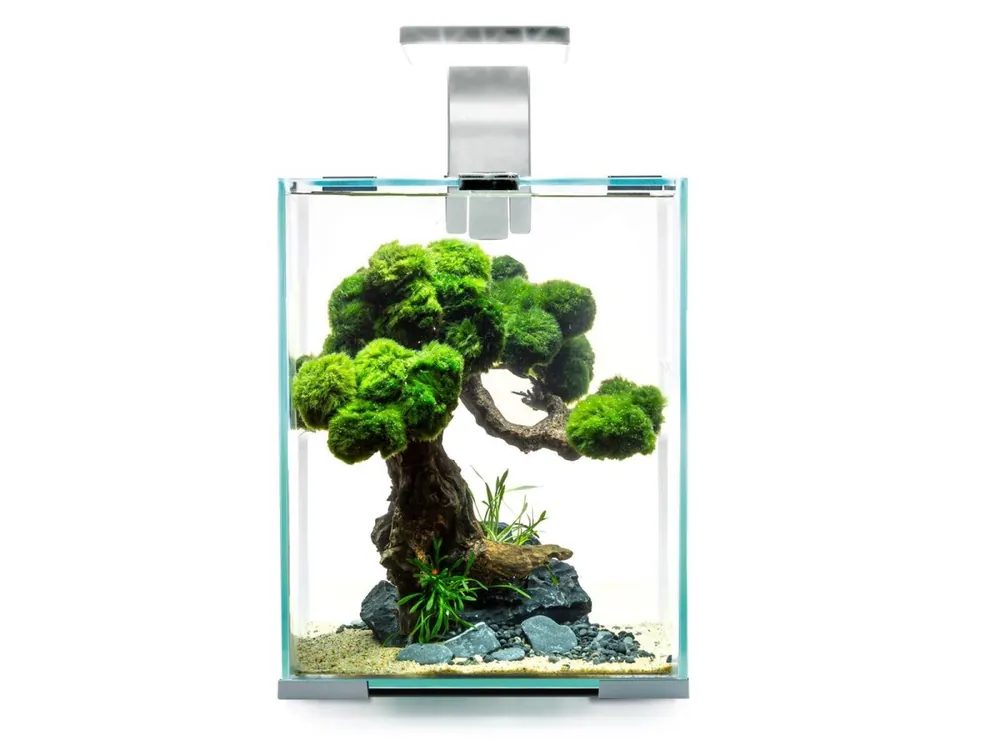 Garnelen Aquarium Set Day & Night Zertifiziert