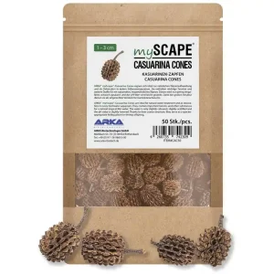 Casuarina Cones 1-3cm 50Stk Nur Für Kurze Zeit