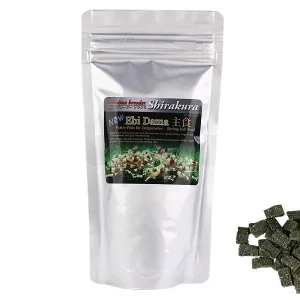 Shirakura – Ebi Dama 80g Solange Der Vorrat Reicht
