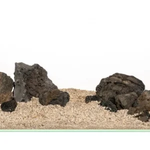 Black premium lava Neu Im Sortiment
