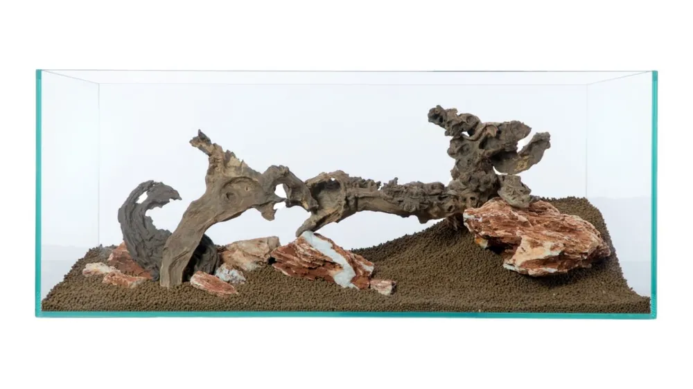 Preisreduziert Bois de savane