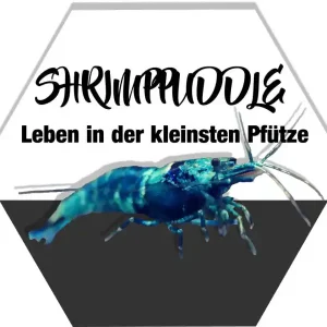 Prodotti ShrimpPuddle ora disponibili su Rendo-Shrimp Neu