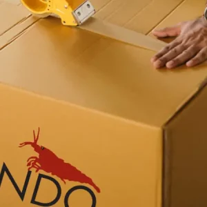 Wochenendangebot ¿Se pueden comprar gambas enanas de forma segura en línea? Guía completa de Rendo-Shrimp