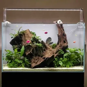 Allestire un acquario – Cosa devono assolutamente sapere i principianti Finale Aktion