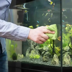 Zertifiziert Ogni quanto bisogna pulire un acquario? Guida completa per principianti
