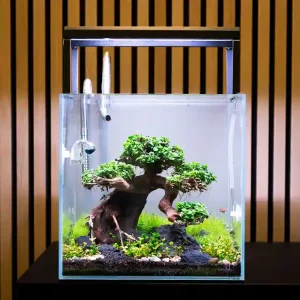 Nano-acquari sotto i 20 litri: possibilità, limiti e alternative responsabili Preisreduziert