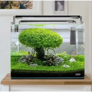 Neue Ware Calentador en el acuario de gambas: ¿sí o no?
