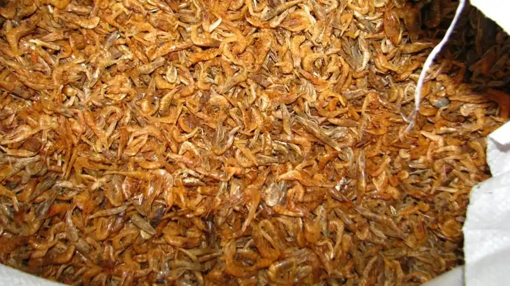 Süsswassergarnelen / shrimps 2-4cm sonnengetrocknet 0,5 L (80g) Beliebt