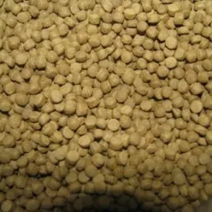 Koi peletten Immuno 6.0 mm 5kg Wochenendangebot