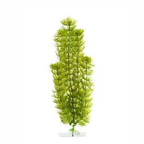 JK Anacharis mitte 25-28 cm Bestseller