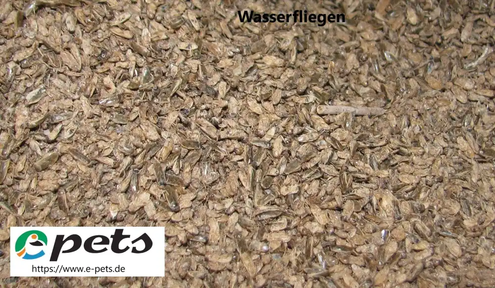 SD Wasserfliegen, Waterflies 2 L (cca 500g) Sonderangebot