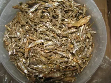 Ausverkauf Grashüpfer-Heuschrecke- 0,5L-65g