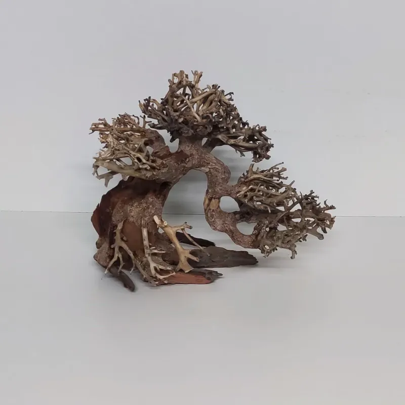 Aqua-Bonsai – M- 29 x 16 x 24 cm Direkt Vom Hersteller