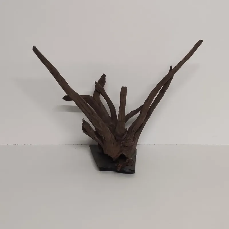 Angkor-Tree – Corbo-Wurzel auf Schieferplatte 36x19x28cm Neu