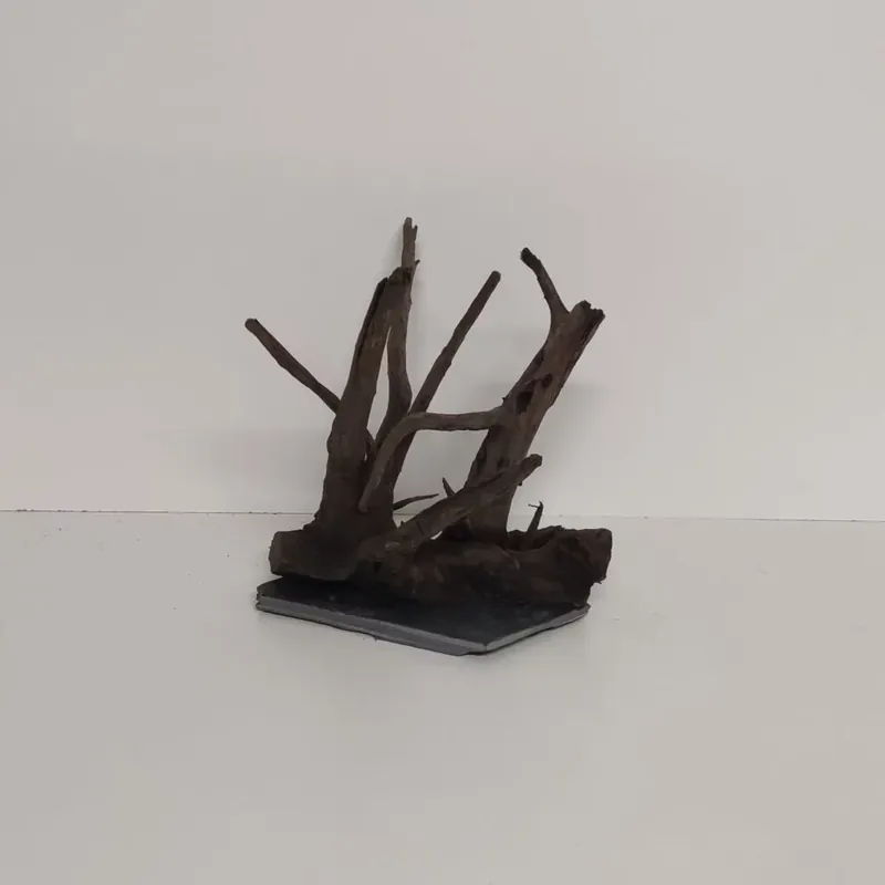 Angkor-Tree – Corbo-Wurzel auf Schieferplatte 20x19x21cm Jetzt Bestellen