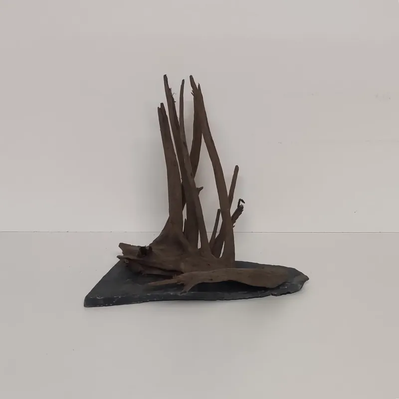 Angkor-Tree – Corbo-Wurzel auf Schieferplatte 25x26x23cm Schnäppchen