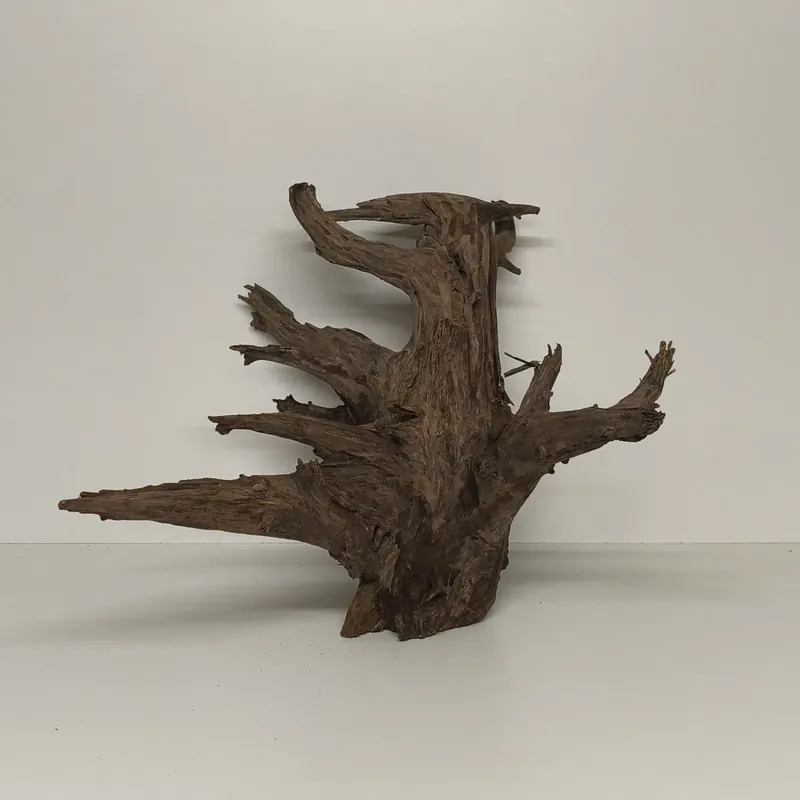 Corbo Wurzel	54x58x49cm Wochenendangebot