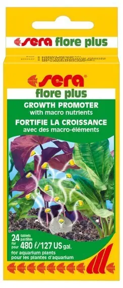 floreplus 24 Tabl Top-Angebot