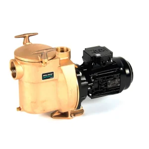 Saisonangebot 5BR STA RITE Bronzepumpe Poolpumpe 230 V. 0.37 kW. 11 m³/h