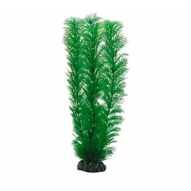 Jetzt Bestellen Hobby Egeria - 34 cm