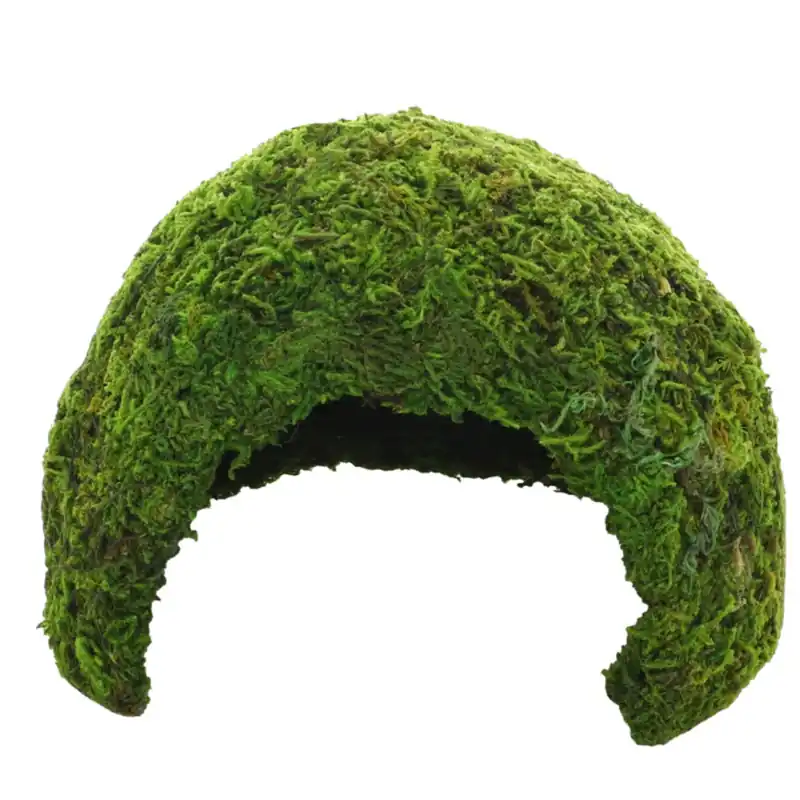Jetzt Kaufen Hobby Jungle Cave 17 x 17 x 12 cm