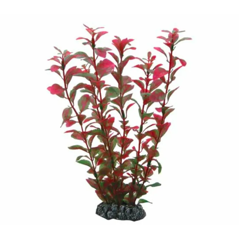 Ausverkauf Hobby Ludwigia - 34 cm