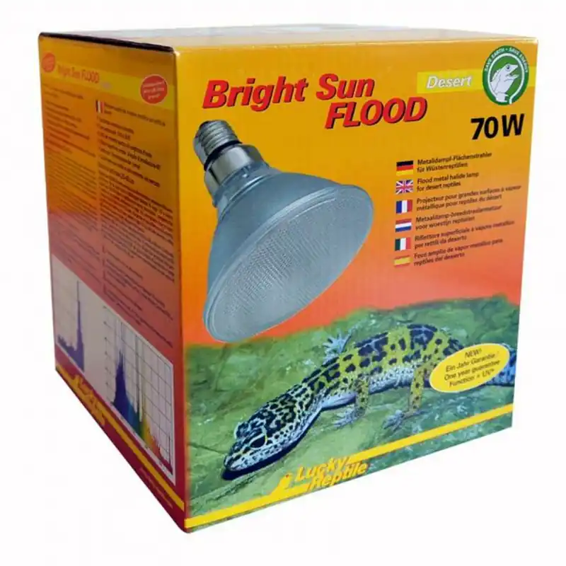 Highlight Lucky Reptile Bright Sun Flood Desert 70 W